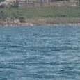 La misaine en fausse panne