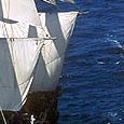Brest Douarnenez 2000