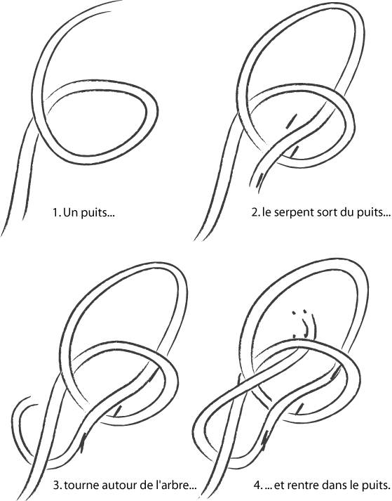 Nœud de chaise par étape